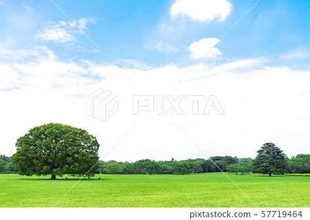 Landscape with green and blue sky 57719464