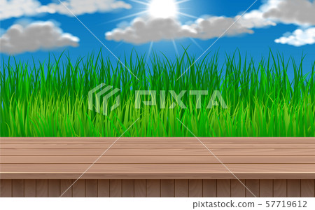 wooden table with the green grass background 57719612