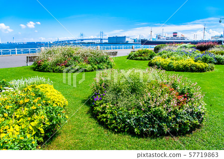 Yokohama Yamashita Park俯瞰Hikawamaru和海灣大橋 Yokohama Yamashita Park俯瞰Hikawamaru和海灣大橋 57719863