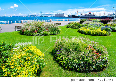 Yokohama Yamashita Park俯瞰Hikawamaru和海灣大橋 Yokohama Yamashita Park俯瞰Hikawamaru和海灣大橋 57719864