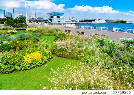 Yokohama Yamashita Park Minato Mirai Yokohama Yamashita Park Minato Mirai 57719866