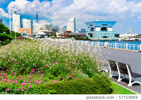 Yokohama Yamashita Park Minato Mirai 57719869