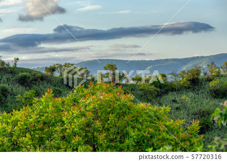 Mago National Park, Omo Valley, Etiopia 57720316