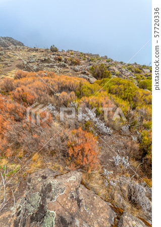 landscape of Bale Mountain 57720336