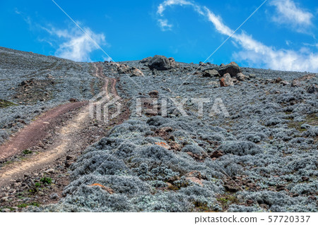 landscape of Bale Mountain 57720337