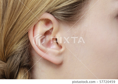 Close up on female ear and braid hair Close up on female ear and braid hair 57720459