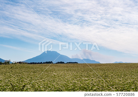 Agriculture Agriculture 57720886