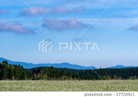 Agriculture Agriculture 57720921