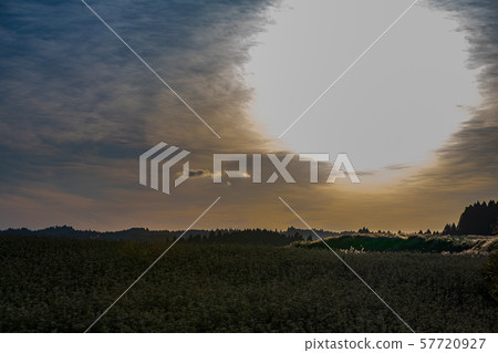 Agriculture Agriculture 57720927