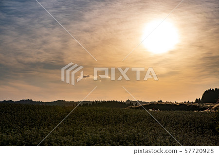 Agriculture Agriculture 57720928