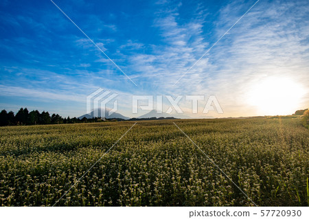 Agriculture Agriculture 57720930