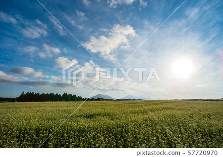 Agriculture Agriculture 57720970