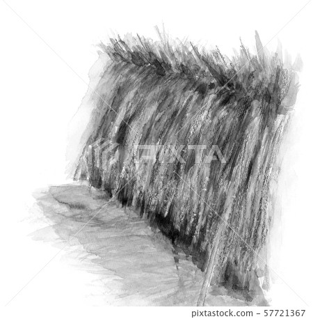 Rice drying sun-dried water harvest harvest... - Stock Illustration ...