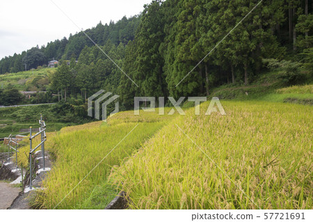 Senjoda, Shinshiro, Aichi Prefecture 57721691