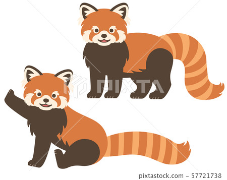 Red panda illustration set 57721738
