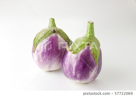 Rosa Bianca Rosa Bianca 57722069