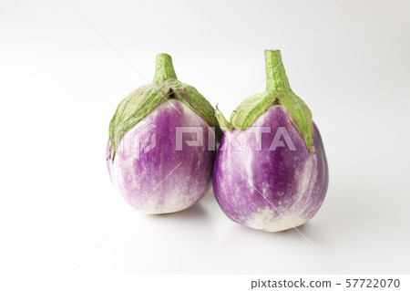 Rosa Bianca 57722070