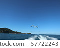 海，天空和海鷗3 57722243