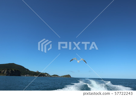 海,天空和海鷗3 海,天空和海鷗3 57722243