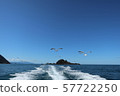 海，天空和海鷗10 57722250