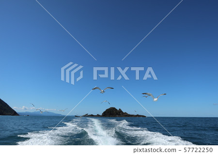 海,天空和海鷗10 海,天空和海鷗10 57722250