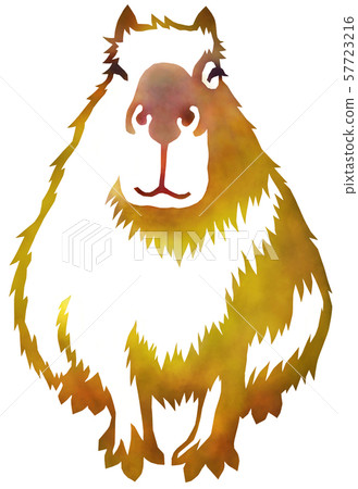 摳出水豚棕色 57723216