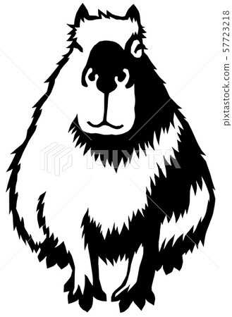 摳圖水豚 摳圖水豚 57723218