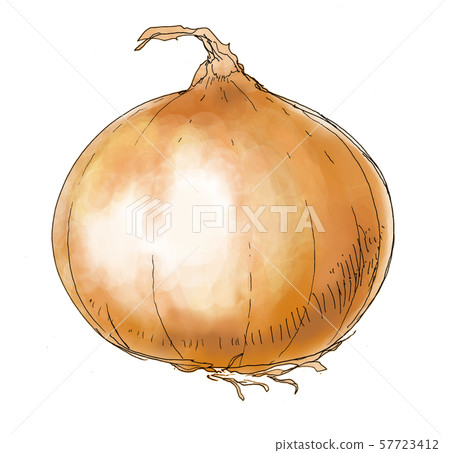 蔥 蔥 57723412