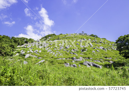 Beautiful scenery of Hiraodai 57723745