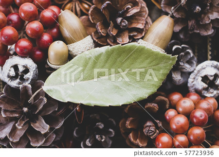 Autumn / winter natural background material Autumn / winter natural background material 57723936