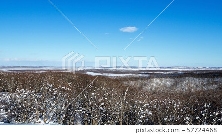Kushiro Wetland in winter 57724468