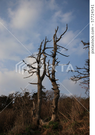 Jeonbuk, Muju-gun, Deogyusan 57724541