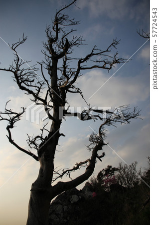 Jeonbuk, Muju-gun, Deogyusan Jeonbuk, Muju-gun, Deogyusan 57724543