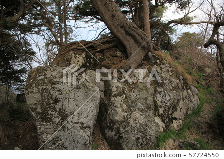 Jeonbuk, Muju-gun, Deogyusan 57724550