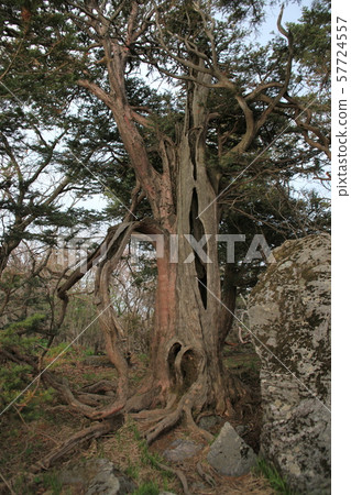 Jeonbuk, Muju-gun, Deogyusan 57724557