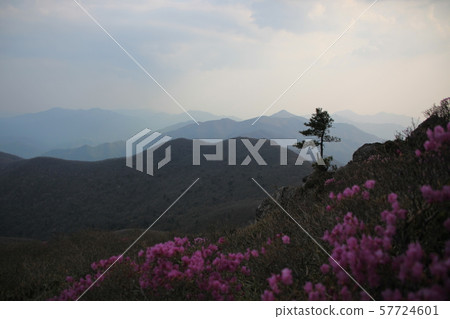 Jeonbuk, Muju-gun, Deogyusan 57724601