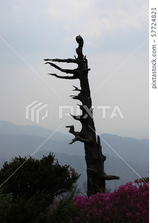 全州,Muju-gun,Deogyusan 全州,Muju-gun,Deogyusan 57724821