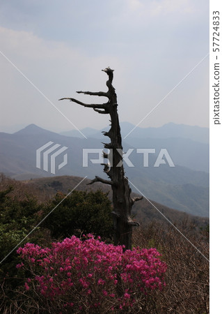 全州,Muju-gun,Deogyusan 全州,Muju-gun,Deogyusan 57724833