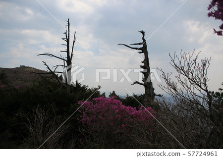 全州，Muju-gun，Deogyusan 57724961
