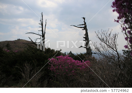 全州，Muju-gun，Deogyusan 57724962