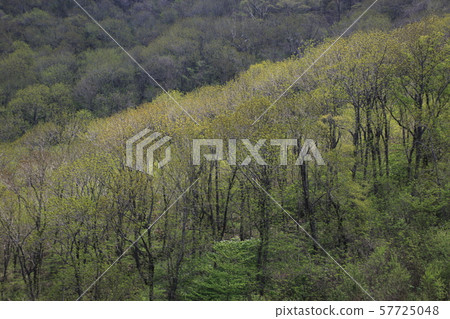 Jeonbuk, Muju-gun, Deogyusan 57725048