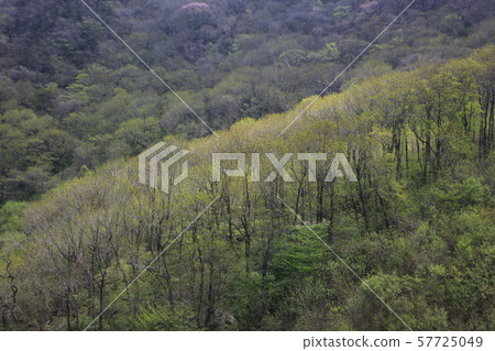 Jeonbuk, Muju-gun, Deogyusan 57725049