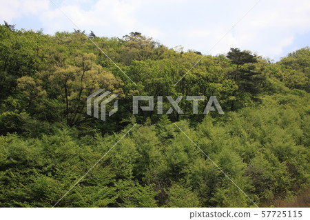 Jeonbuk, Muju-gun, Deogyusan 57725115