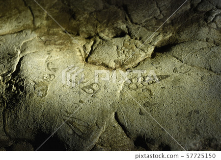 Sea fossils, Arwah Cave, Cherrapunjee, Meghalaya, India 57725150