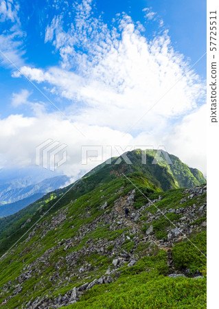從北阿爾卑斯山/ Akazawadake方向看到的Narusawa-dake 從北阿爾卑斯山/ Akazawadake方向看到的Narusawa-dake 57725511
