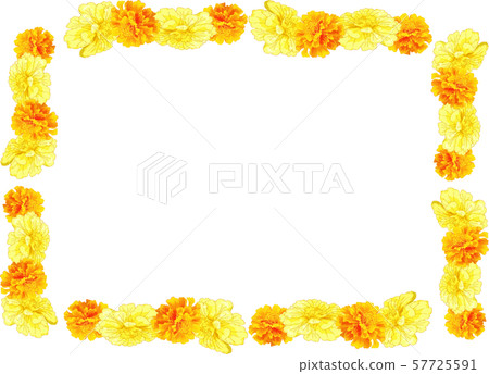 Marigold frame - Stock Illustration [57725591] - PIXTA