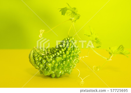 Goya with leaves and vine (colorful background) 57725695