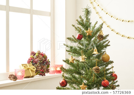 Christmas tree  57726369