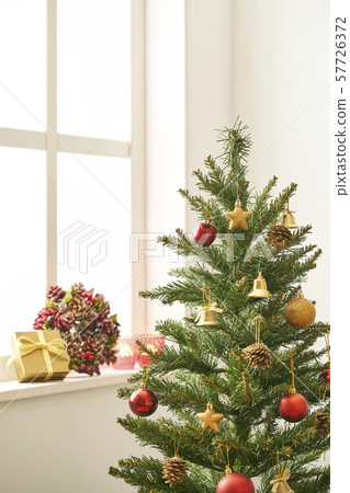 Christmas tree Christmas tree 57726372