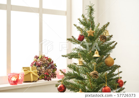 Christmas tree Christmas tree 57726373